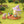Load image into Gallery viewer, Sylvanian Families Little Tales Collection Owl Magical Vegetable Garden Figure Set Pre-order
