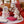 Load image into Gallery viewer, Sylvanian Families Elegant Set Husky Baby Figure Set
