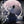 Load image into Gallery viewer, Ado - Zanmu First Press Limited Edition [CD]
