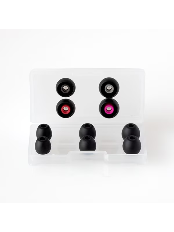 Final A4000 In-Ear Monitor Earphones (2-Pin) FI-A4DPLDN