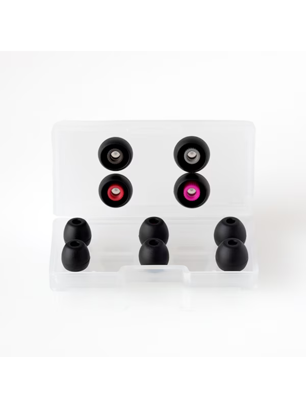 Final A3000 In-Ear Monitor Earphones