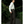 Load image into Gallery viewer, Model Press Countdown Magazine Vol.13
