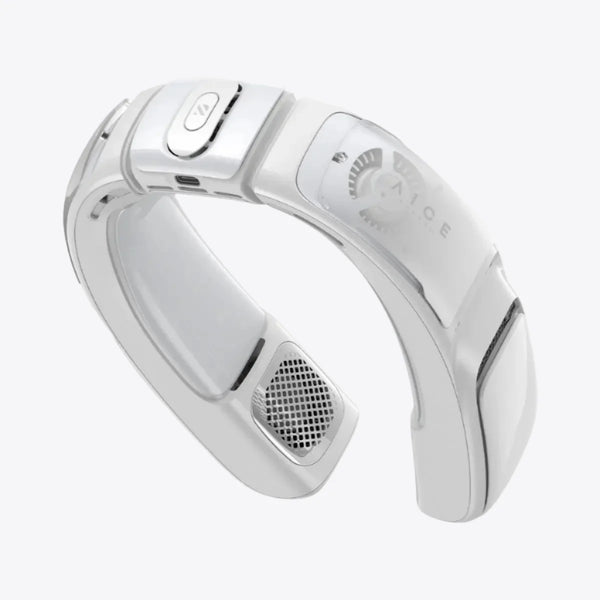 RANVOO AICE 3 Neck Cooler Fan