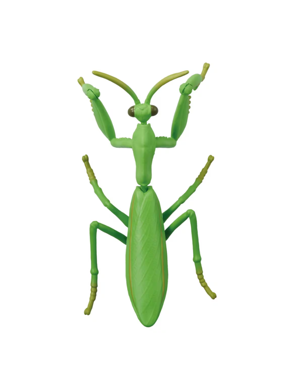 Ania AL-32 Giant Mantis Animal Figure Movable Insect Toy