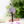 Load image into Gallery viewer, Spirited Away Boh Mouse &amp; Fly Bird Keychain
