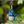Load image into Gallery viewer, Totoro Style Keychain Medium Totoro and Small Totoro Character
