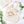 Load image into Gallery viewer, Howl’s Moving Castle Hin Embroidered Canvas Tote Bag
