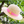 Load image into Gallery viewer, My Neighbor Totoro Mei Straw Hat Kids
