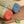 Load image into Gallery viewer, My Neighbor Totoro Igusa Bolster Pillow
