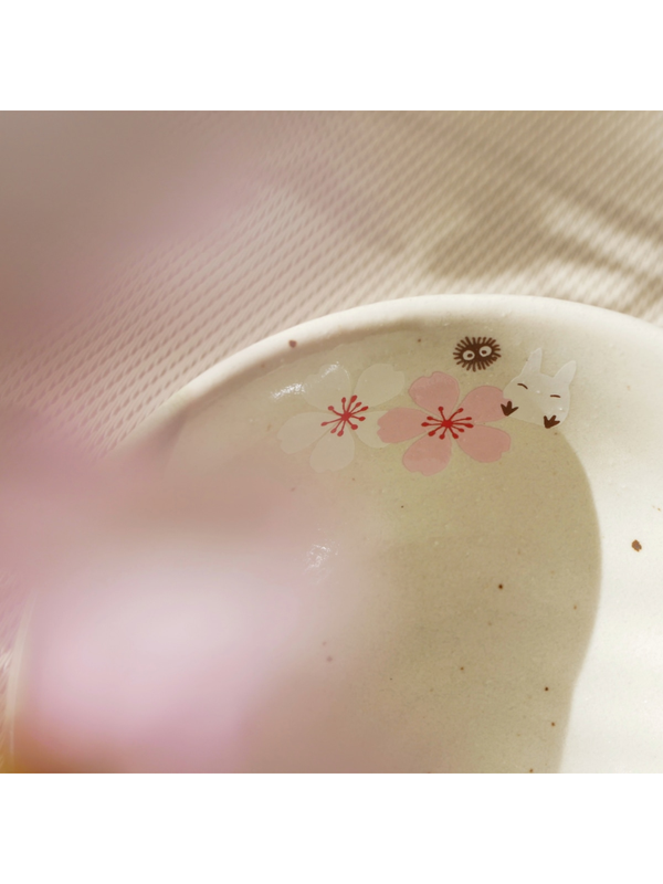 My Neighbor Totoro Japanese Rice Bowl