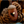 Load image into Gallery viewer, My Neighbor Totoro Rolling Acorn Holder Keychain Totoro and Little Totoro
