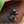 Load image into Gallery viewer, My Neighbor Totoro Black Soot Sprite Face Carabiner
