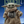 Load image into Gallery viewer, Disney FAN Magazine December 2026 Issue
