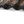 Load image into Gallery viewer, Kapital fastcolor Selvedge Bandana (ANTLER NAJA) 20x20
