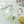 Load image into Gallery viewer, Kiki's Delivery Service Flower Bouquet Glass Teapot 580ml
