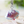 Load image into Gallery viewer, Ponyo Jellyfish Keychain
