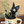 Load image into Gallery viewer, Kiki's Delivery Service Jiji Vase
