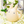 Load image into Gallery viewer, My Neighbor Totoro Watering Can – Small Totoro Garden Watering Can 1L
