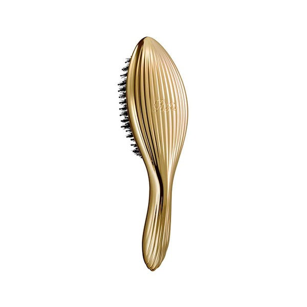 ReFa AILE BRUSH RAY