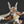 Load image into Gallery viewer, KAIYODO Revoltech My Hero Academia Mirko Action Figure – 140 mm (2026 Reissue)
