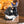 Load image into Gallery viewer, Kiki's Delivery Service Jiji Music Box — Kiki's Message
