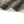 Load image into Gallery viewer, Kapital fastcolor Selvedge Bandana (ANTLER NAJA) 15x15
