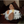Load image into Gallery viewer, Howl’s Moving Castle Hin Dog Plush Mop
