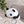 Load image into Gallery viewer, Panda Kopanda Pan-chan Funbaruzu Plush
