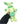 Load image into Gallery viewer, Miitsuketa Sabosan Plush Toy Small Size
