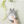 Load image into Gallery viewer, My Neighbor Totoro Retractable Pass Case Plush Card Holder
