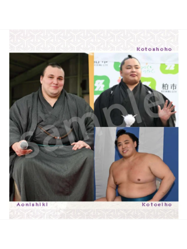 Sumo Biyori 2027 Japanese Sumo Wrestler Desk Calendar