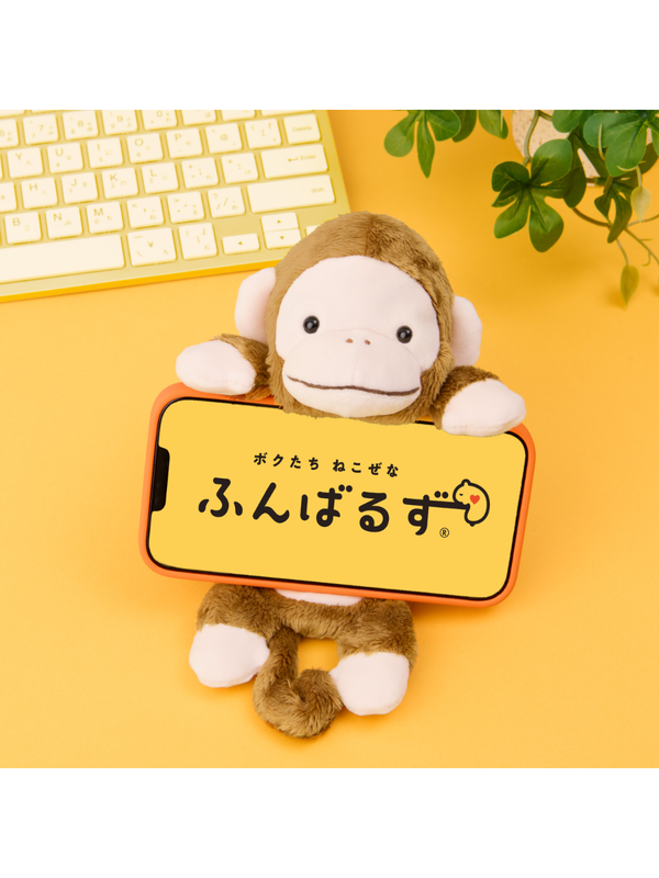 【Pre-Order】Funbaruzu Rabbit Wrist Cushion Plush