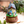 Load image into Gallery viewer, My Neighbor Totoro Ceramic Music Box
