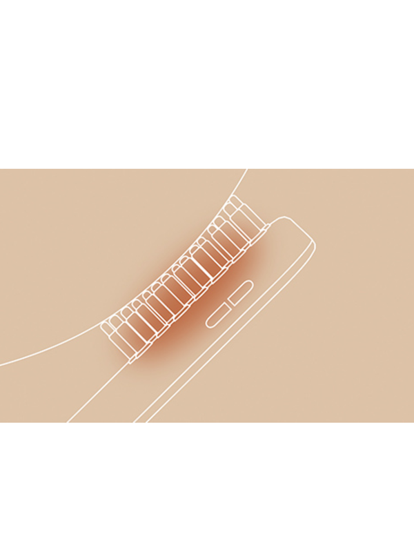 SALONIA EMS Lift Brush Rechargeable Beauty Device
