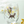 Load image into Gallery viewer, Kiki's Delivery Service Flower Bouquet Glass Cup

