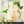 Load image into Gallery viewer, My Neighbor Totoro Watering Can – Small Totoro Garden Watering Can 1L
