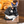 Load image into Gallery viewer, Kiki's Delivery Service Jiji Black Telephone Music Box
