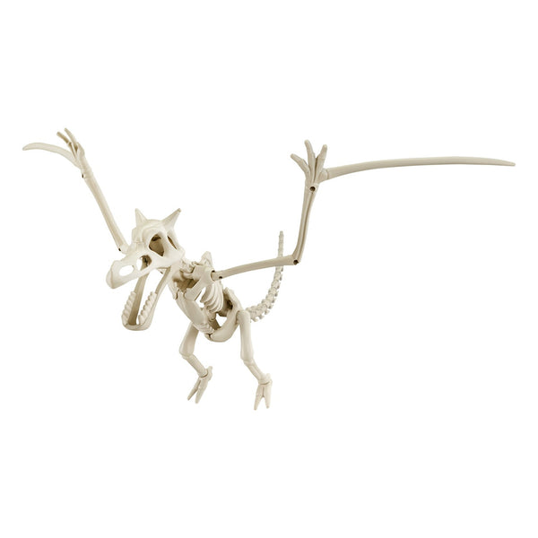 Pokemon Series Aerodactyl Plastic Model Kit
