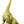 Load image into Gallery viewer, Mattel Jurassic World Giant Brachiosaurus Action Figure JLD17 [Pre-order]

