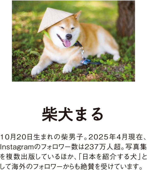 Shiba Inu Maru 2026 Wall Calendar – Small Size