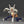 Load image into Gallery viewer, KAIYODO Revoltech My Hero Academia Mirko Action Figure – 140 mm (2026 Reissue)
