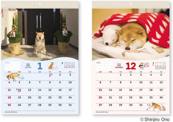 Shiba Inu Maru 2026 Wall Calendar – Small Size