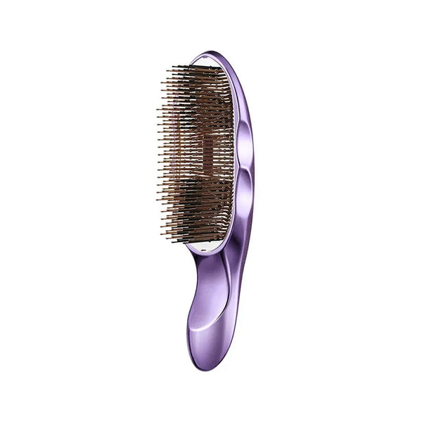 ReFa ION CARE BRUSH PREMIUM SE