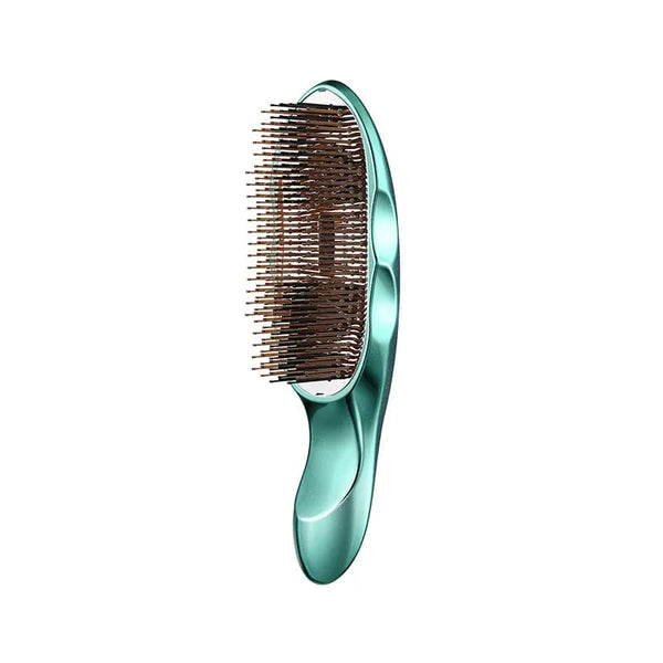 ReFa ION CARE BRUSH PREMIUM SE