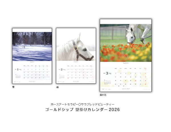 Gold Ship 2026 Wall Calendar A2