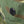 Load image into Gallery viewer, Lot No. BR02853 ERDL CAMOUFLAGE BONNIE HAT - detail

