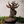 Load image into Gallery viewer, Princess Mononoke Forest Spirit Accessory Tray Jewelry Holder
