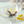 Load image into Gallery viewer, Kiki's Delivery Service Flower Bouquet Square Glass Bowl
