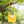 Load image into Gallery viewer, My Neighbor Totoro Small Totoro Kids Crossbody Bag
