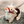 Load image into Gallery viewer, Princess Mononoke Yakul Plush Mascot Keychain
